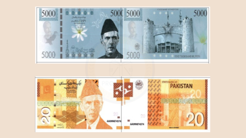 The 2025 Design of Pakistan's New Currency Notes