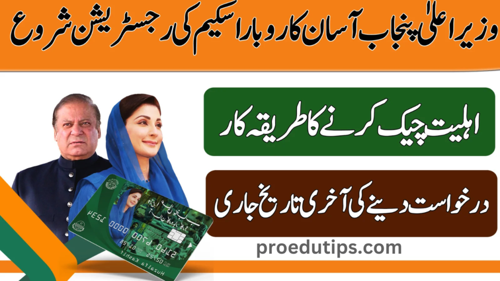CM Asaan Karobar Card