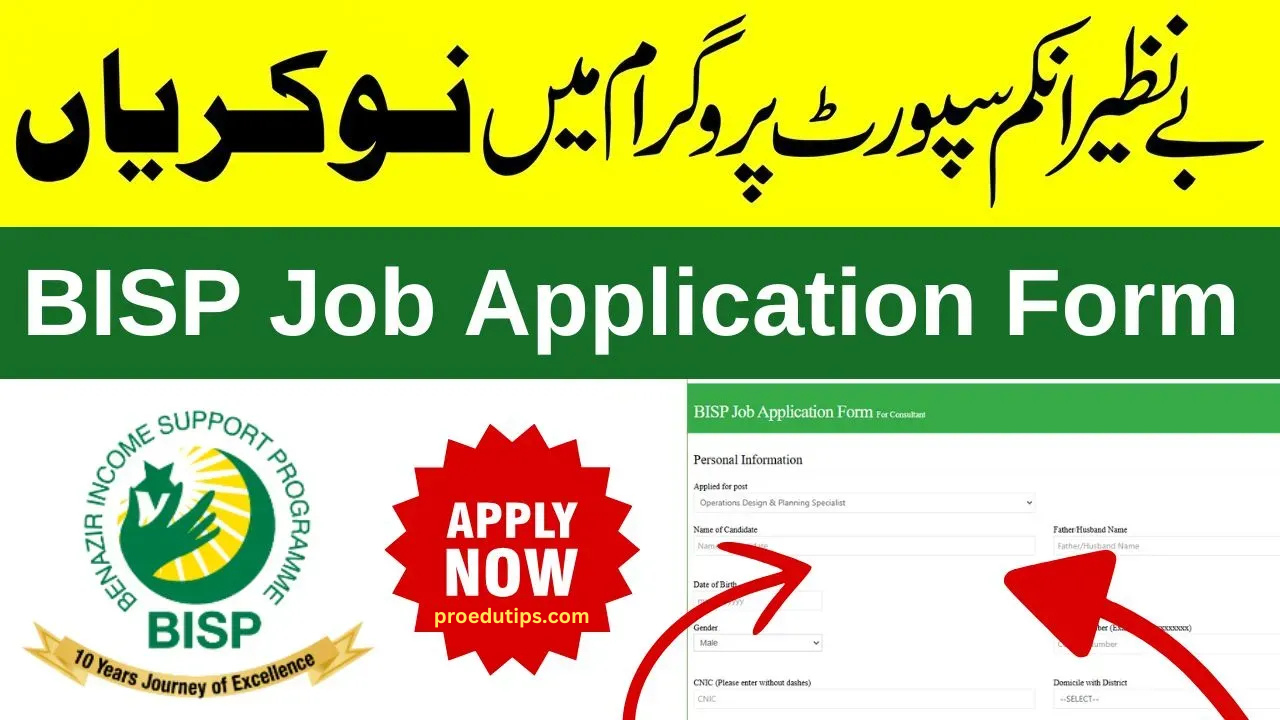 BISP Jobs 2025: Opportunities, Eligibility, and Application Process