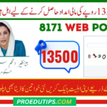 BISP 8171 Payment Eligibility Check